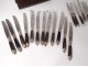 Series 24 knives horn handle silver metal foliage dessert nineteenth century