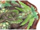 Terracotta dish Rustic fig lobsters Freak snake Palissy 19th
