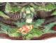Terracotta dish Rustic fig lobsters Freak snake Palissy 19th