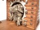 Cigar humidor carved Black Forest niche dog silver metal nineteenth