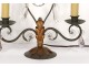 Pair of candelabra 2 lights wrought iron crystal pendants twentieth century