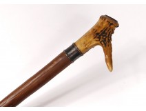 Old Cane Folk Art Wood Pommel Horn Character Cane Nineteenth Century