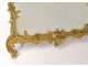 Gilded bronze frame rock mirror ice foliage Napoleon III nineteenth frame