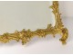 Gilded bronze frame rock mirror ice foliage Napoleon III nineteenth frame