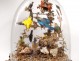 Group of birds naturalized snake under globe nest shells nineteenth century
