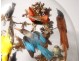 Group of birds naturalized snake under globe nest shells nineteenth century