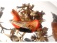 Group of birds naturalized snake under globe nest shells nineteenth century