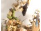 Group of birds naturalized snake under globe nest shells nineteenth century