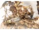 Group of birds naturalized snake under globe nest shells nineteenth century
