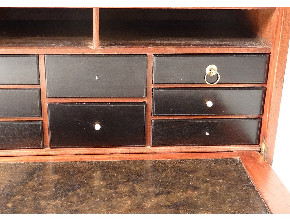 Small Mahogany Travel Cabinet Ebony Drawers Eighteenth Century