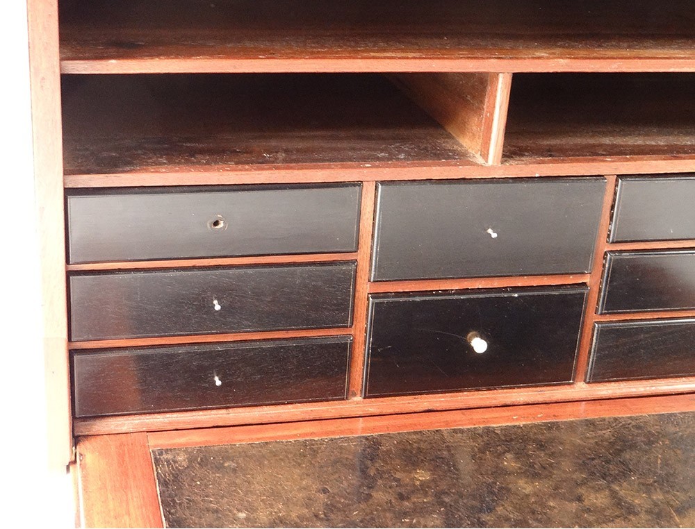 Small Mahogany Travel Cabinet Ebony Drawers Eighteenth Century