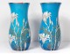 Pair of blue enamelled opaline vases Baccarat lily gilding flowers nineteenth century