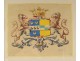 Coat of arms on watercolor paper blazon marquis of Fuentafel lions eighteenth