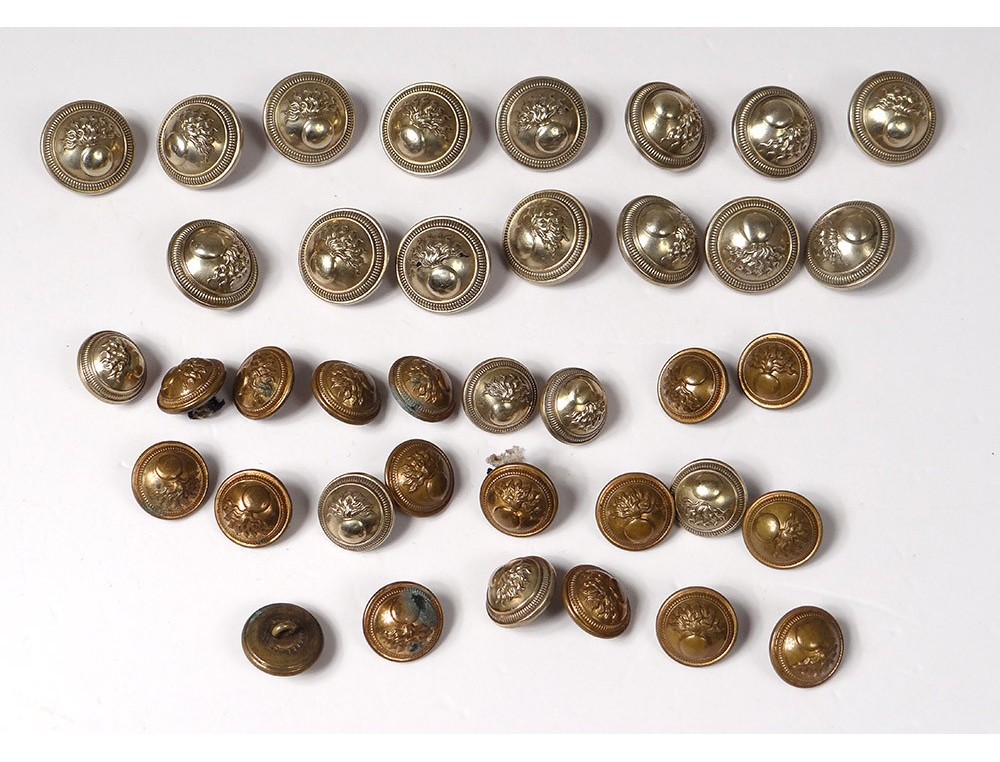 Lot De 76 Boutons Anciens Gendarmerie Nationale - Argent 18mm - France