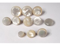 Lot 11 buttons old mother-of-pearl uniform delivered cuff collar collection XIX