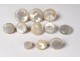 Lot 11 buttons old mother-of-pearl uniform delivered cuff collar collection XIX