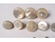 Lot 11 buttons old mother-of-pearl uniform delivered cuff collar collection XIX