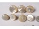 Lot 11 buttons old mother-of-pearl uniform delivered cuff collar collection XIX