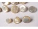 Lot 11 buttons old mother-of-pearl uniform delivered cuff collar collection XIX