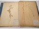 Rare herbarium 22 cardboard plants Masson Valenciennes Nord France collection