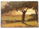 HST tablau landscape forest Fontainebleau Barbizon Doumenq painting twentieth century