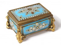 Small box box enamels Bressans pearls bronze flowers Napoleon III nineteenth