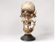 Skull burst with Beauchêne anatomy House Tramond Paris medicine nineteenth
