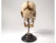 Skull burst with Beauchêne anatomy House Tramond Paris medicine nineteenth