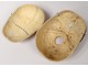 Skeleton human skull medicine skinned anatomy vanity column hand foot twentieth