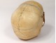 Skeleton human skull medicine skinned anatomy vanity column hand foot twentieth