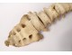 Skeleton human skull medicine skinned anatomy vanity column hand foot twentieth