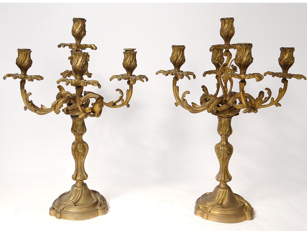 Pair large candelabra 5 lights Louis XV gilded bronze Rococo