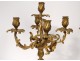 Pair large candelabra 5 lights Louis XV gilded bronze Rococo candlesticks 19th