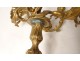 Pair large candelabra 5 lights Louis XV gilded bronze Rococo candlesticks 19th