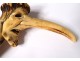 Pommel de cane horn deer carved grotesque character nineteenth century