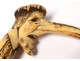 Pommel de cane horn deer carved grotesque character nineteenth century