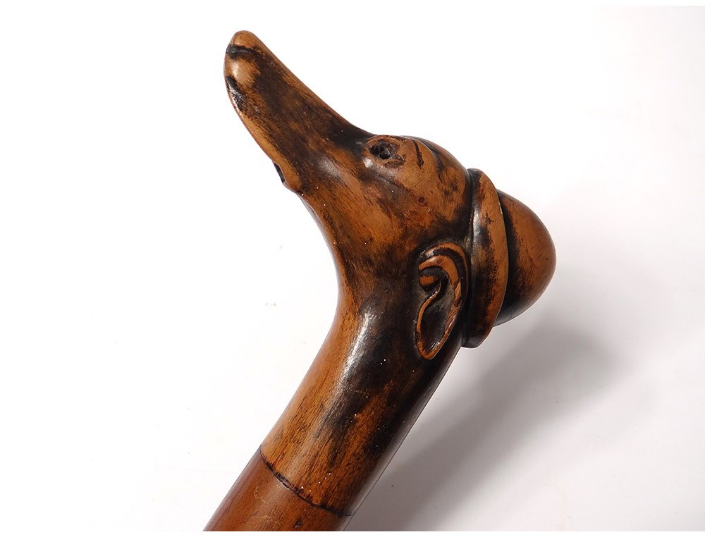 Canne dagger carved wooden system dog greyhound blade Solingen nineteenth
