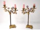 Pair candlesticks 2 lights gilt bronze flowers porcelain Napoleon III nineteenth