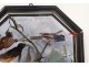 Pair paintings naturalized birds landscapes branches Napoleon III nineteenth