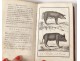 2 books New Buffon of Youth Natural History Paris 1806 Nineteenth