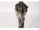 Pair candelabra candlesticks 4 lights Louis XV bronze silver flowers nineteenth
