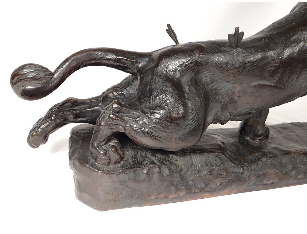 Large bronze sculpture Charles Valton Wounded lioness animal