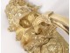 Pair Louis XVI arms light golden bronze gilded profile antique lion 18th