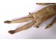 Small articulated doll antique earth woman greek roman collection
