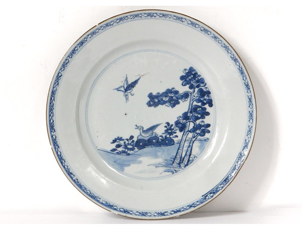China porcelain dish plate India Company Kangxi Eighteenth Birds