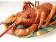 Terrine dish signed Jacob Small porcelain Paris Lobster nineteenth century
