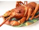 Terrine dish signed Jacob Small porcelain Paris Lobster nineteenth century