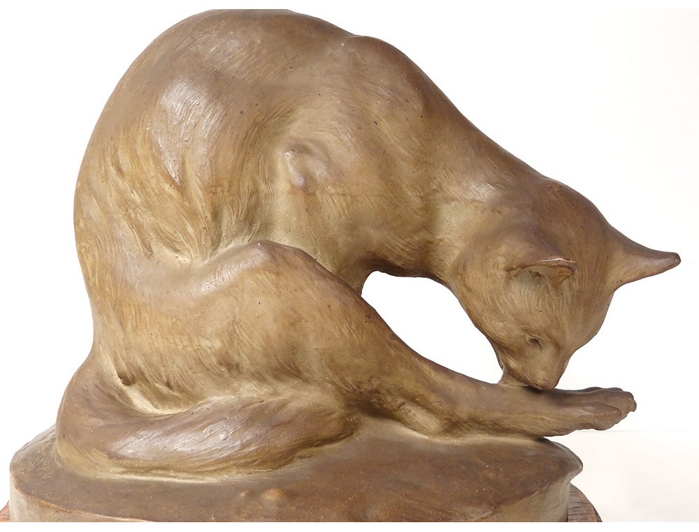 Sculpture Terre Cuite Charles Virion Chat Toilette Cytere Unis France Xixe Sculpture Terre Cuite Charles Virion Chat Toilette Cytere Unis France Xixe