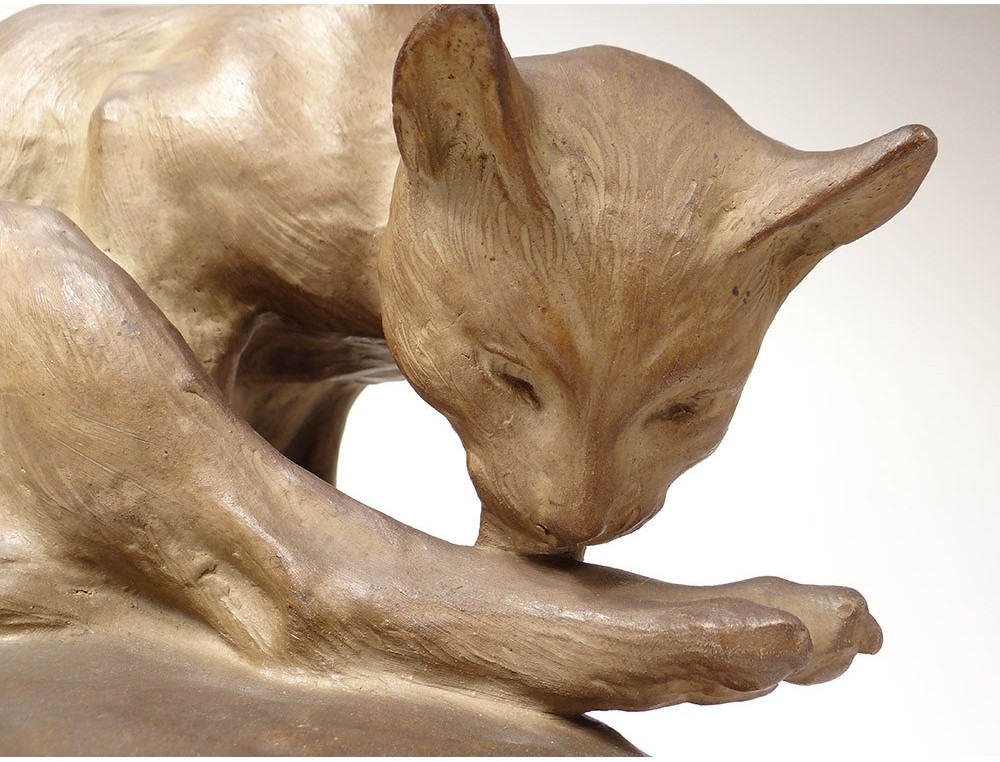 Sculpture Terre Cuite Charles Virion Chat Toilette Cytere Unis France Xixe Sculpture Terre Cuite Charles Virion Chat Toilette Cytere Unis France Xixe