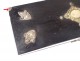 Glove box blackened wood box metal nacre palmettes nineteenth century